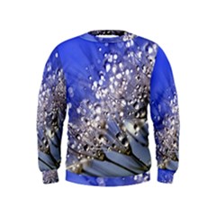 Dandelion 2015 0704 Boys  Sweatshirts by JAMFoto