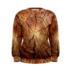 Cross Section Of An Old Tree Women s Sweatshirts by trendistuff