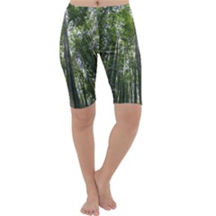 Bamboo Grove 1 Cropped Leggings by trendistuff