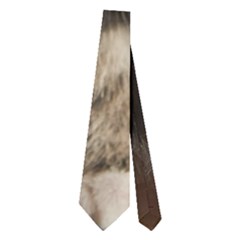 Talk To The Paw Neckties (two Side)  by trendistuff