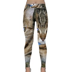 Blue-eyed Kitty Yoga Leggings by trendistuff