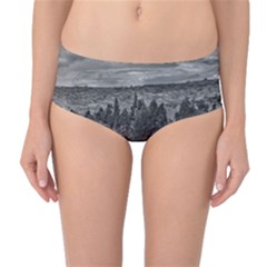 Black And White Landscape Scene Mid-waist Bikini Bottoms by dflcprintsclothing