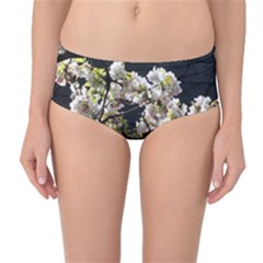 Japanese Cherry Blossom Mid-waist Bikini Bottoms by picsaspassion