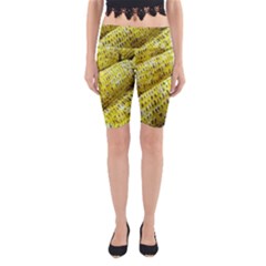 Corn Grilled Corn Cob Maize Cob Yoga Cropped Leggings by Nexatart