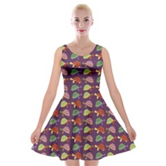 Turtle Pattern Velvet Skater Dress by Valentinaart