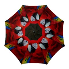 Scarlet Macaw Bird Golf Umbrellas