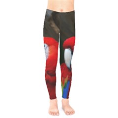 Scarlet Macaw Bird Kids  Legging by BangZart