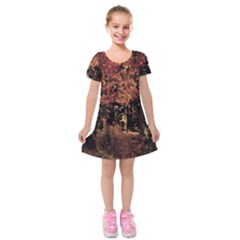 Landscape Kids  Short Sleeve Velvet Dress by Valentinaart