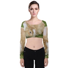 Beautiful Blue Eyed Bunny On Green Grass Velvet Long Sleeve Crop Top by Ucco
