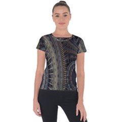 Fractal Spikes Gears Abstract Short Sleeve Sports Top  by Celenk