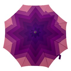 Tri 01 Hook Handle Umbrellas (large) by jumpercat