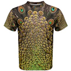 Peacock Feathers Wheel Plumage Men s Cotton Tee