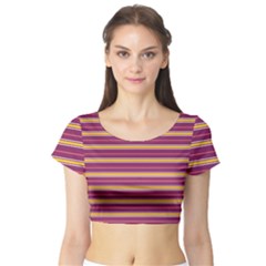 Color Line 5 Short Sleeve Crop Top by jumpercat