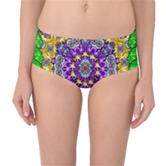 Sunshine In Mind The Season Is Decorative Fine Mid-waist Bikini Bottoms by pepitasart