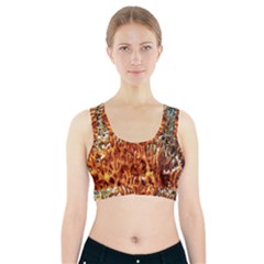 Fire Coral 1 Sports Bra With Pocket by trendistuff