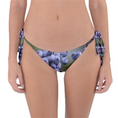 Blueberries 2 Reversible Bikini Bottom by trendistuff