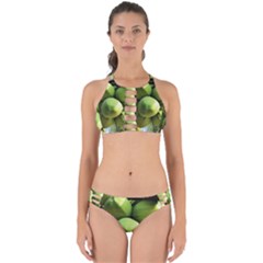 Coconuts 1 Perfectly Cut Out Bikini Set by trendistuff