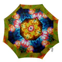 Xping Hook Handle Umbrella (large)