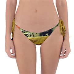 Hidden Strings Of Purity 14 Reversible Bikini Bottom by bestdesignintheworld