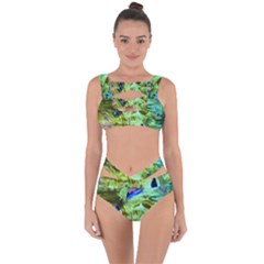 June Gloom 8 Bandaged Up Bikini Set 