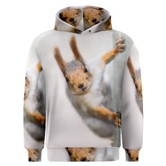 Curious Squirrel Men s Overhead Hoodie by FunnyCow