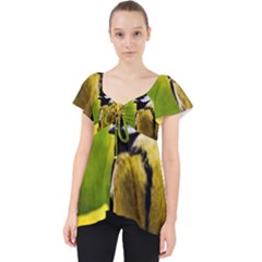 Tomtit Bird Dressed To The Season Lace Front Dolly Top by FunnyCow