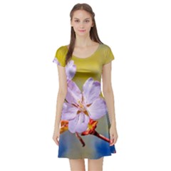 Sakura Flowers On Yellow Short Sleeve Skater Dress by FunnyCow