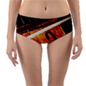 Cello Performs Classic Music Reversible Mid-Waist Bikini Bottoms View3