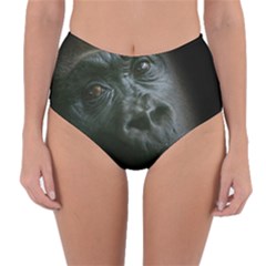 Gorilla Monkey Zoo Animal Reversible High-waist Bikini Bottoms by Nexatart