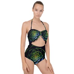 Nature Desktop Flora Color Pattern Scallop Top Cut Out Swimsuit