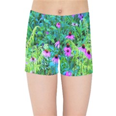 Purple Coneflower Garden With Tiger Eye Tree Kids Sports Shorts by myrubiogarden