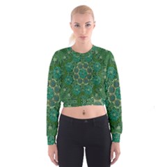 Stars Shining Over The Brightest Star In Lucky Starshine Cropped Sweatshirt