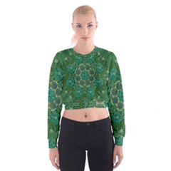 Stars Shining Over The Brightest Star In Lucky Starshine Cropped Sweatshirt by pepitasart