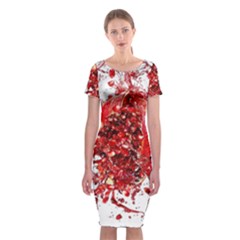 Red Pomegranate Fried Fruit Juice Classic Short Sleeve Midi Dress by Mariart