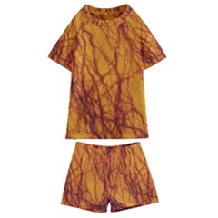 Lightning Internal Blood Vessel Kids  Swim Tee And Shorts Set by Pakrebo