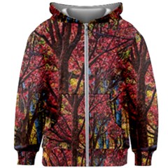 Autumn Colorful Nature Trees Kids  Zipper Hoodie Without Drawstring by Sudhe