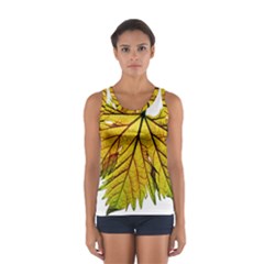 Leaf Grape Vine Sunlight Garden Sport Tank Top  by Pakrebo