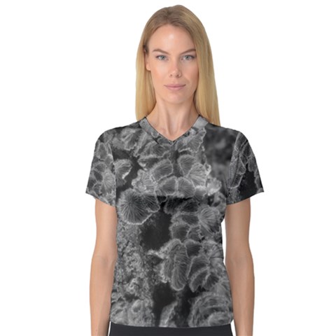 Tree Fungus Branch Vertical Black And White V-neck Sport Mesh Tee by okhismakingart
