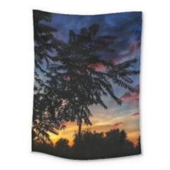 Sumac Sunset Medium Tapestry by okhismakingart