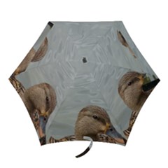 Framed Ducks Mini Folding Umbrellas by okhismakingart