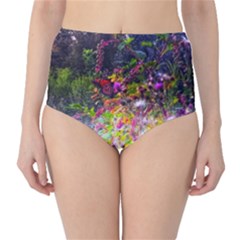 Magic Butterfly Classic High-waist Bikini Bottoms