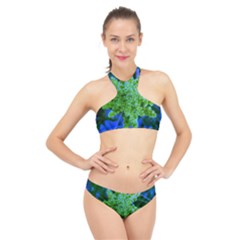 Lime Green Sumac Bloom High Neck Bikini Set by okhismakingart