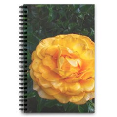Yellow Rose 5 5  X 8 5  Notebook by okhismakingart