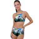 Snowball Branch Collage (I) High Waist Tankini Set View1