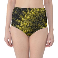 Rich Yellow Digital Abstract Classic High-waist Bikini Bottoms by Pakrebo