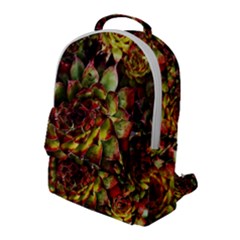 Plant Succulents Succulent Flap Pocket Backpack (large)