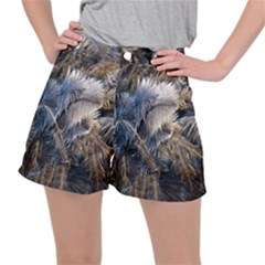 Dried Leafed Plants Ripstop Shorts by Pakrebo