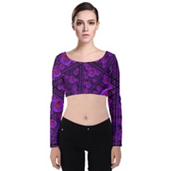 Spheres Combs Structure Regulation Velvet Long Sleeve Crop Top