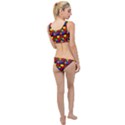 Colorful 59 The Little Details Bikini Set View2