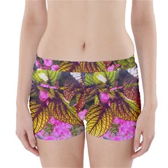 Coleus & Petunia Boyleg Bikini Wrap Bottoms by Riverwoman
